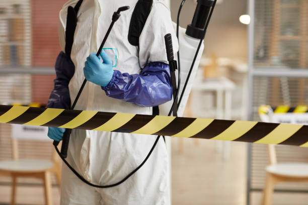Professional Sewage Cleanup technician working in Bowie, MD